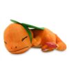 Peluche Charmander che dorme
