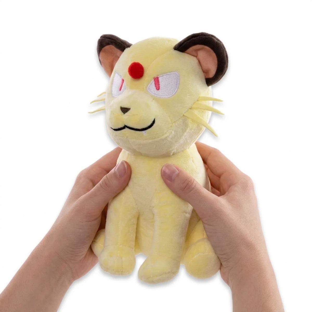 Peluche Persian tenuto nelle mani